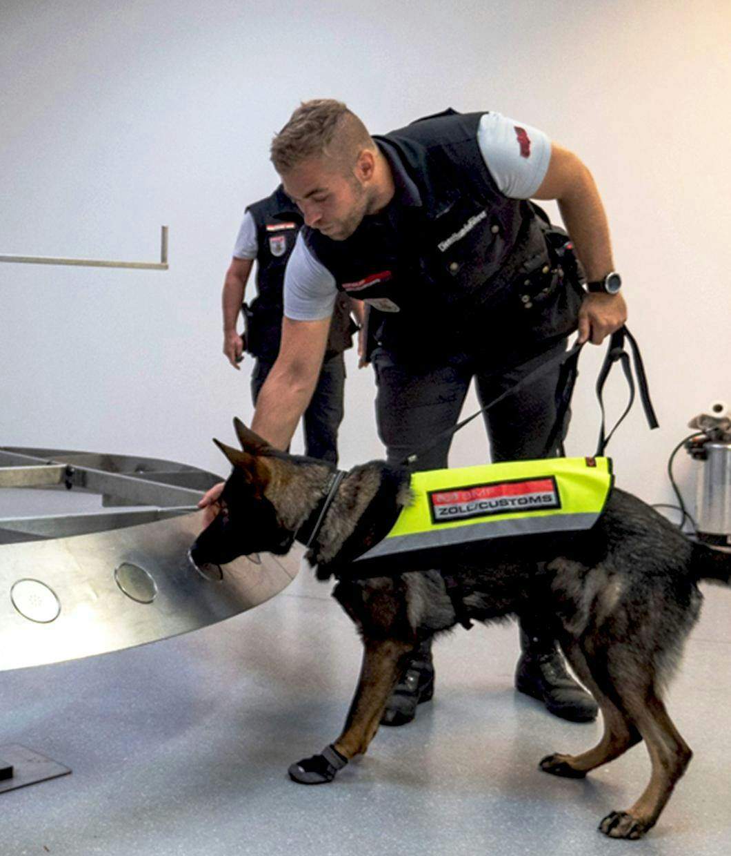Ein Hund des österreichischen Zoll mit seinem Hundeführer, schnuppert an einen Gegenstand. Der Hund hat eine Warnweste mit der Aufschrift ZOLL an.  Der Hundeführer ist in Zolluniform. Die Situation stellt ein Training dar. © ©BMF